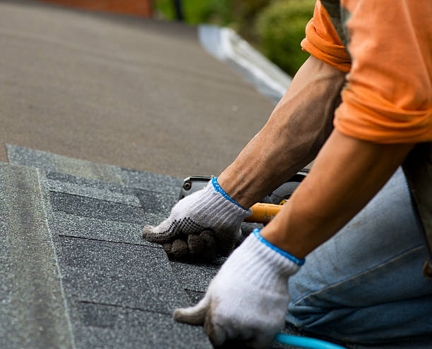 Best New Roof Installation  in Morgantown, KY