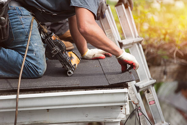 Best Flat Roof Repair Services  in Morgantown, KY
